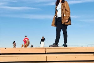 Yksityinen opastettu kiertokäynti Tokiossa oppaan ja ajoneuvon kanssa