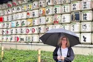 Yksityinen opastettu kiertokäynti Tokiossa oppaan ja ajoneuvon kanssa