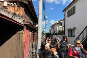 Tour privato: passeggiata culturale nella vecchia Tokyo a Yanaka e Nezu
