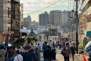 Tour privato: passeggiata culturale nella vecchia Tokyo a Yanaka e Nezu