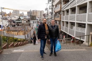 Tour privato: passeggiata culturale nella vecchia Tokyo a Yanaka e Nezu