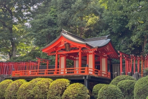 Tour privato: passeggiata culturale nella vecchia Tokyo a Yanaka e Nezu