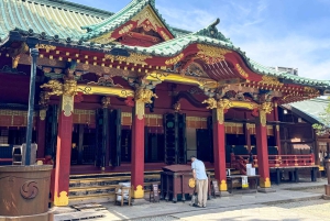 Tour privato: passeggiata culturale nella vecchia Tokyo a Yanaka e Nezu