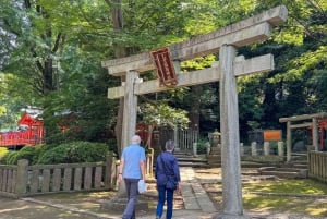 Tour privato: passeggiata culturale nella vecchia Tokyo a Yanaka e Nezu