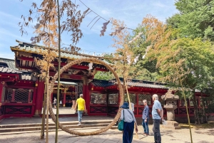 Privat tur: Kulturvandring i gamle Tokyo i Yanaka og Nezu