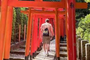 Privat tur: Kulturvandring i gamle Tokyo i Yanaka og Nezu