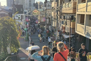Privat tur: Kulturvandring i gamle Tokyo i Yanaka og Nezu