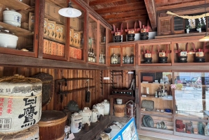 Privat tur: Kulturvandring i gamle Tokyo i Yanaka og Nezu