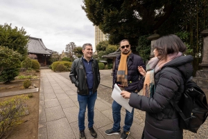 Privat tur: Kulturvandring i gamle Tokyo i Yanaka og Nezu