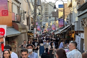Privat tur: Kulturvandring i gamle Tokyo i Yanaka og Nezu