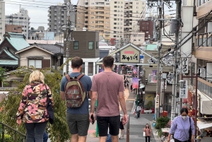 Privat tur: Kulturvandring i gamle Tokyo i Yanaka og Nezu