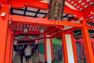 Privat tur: Kulturvandring i gamle Tokyo i Yanaka og Nezu