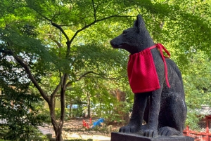 Privat tur: Kulturvandring i gamle Tokyo i Yanaka og Nezu