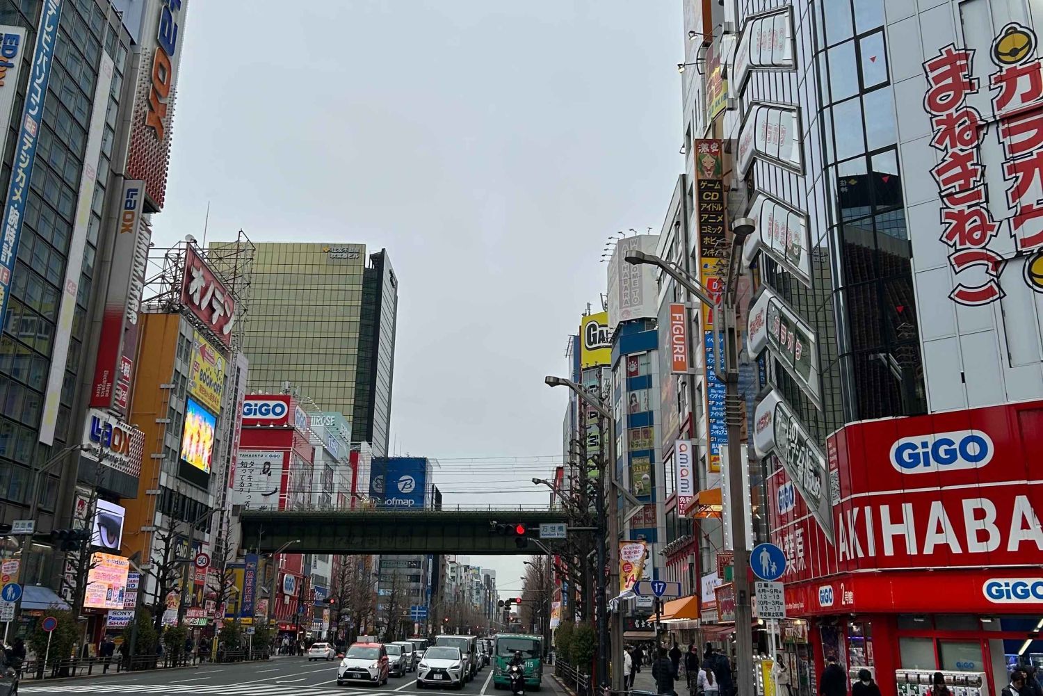 Tour privato delle attrazioni di Tokyo est.