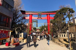 Privétour te voet in Fukagawa, Tokio