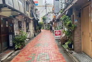 Privétour te voet in Fukagawa, Tokio