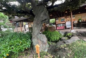 Privétour te voet in Fukagawa, Tokio