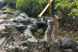 Privétour te voet in Fukagawa, Tokio