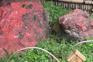 Privétour te voet in Fukagawa, Tokio