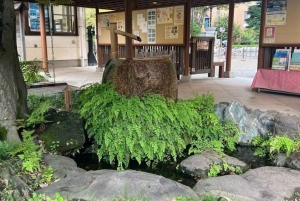 Private Rundgang in Fukagawa, Tokio