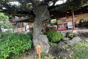 Private Rundgang in Fukagawa, Tokio