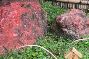 Private Rundgang in Fukagawa, Tokio