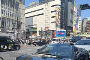 Tour privado de Fast & Furious en un R34 Skyline, Chaser o】 furgoneta por Daikoku PA