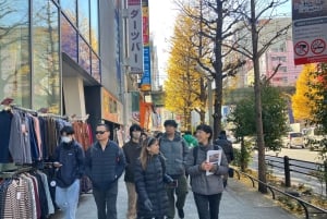 Ramenlaging fra bunnen av + Akihabara-tur – matlagingskurs