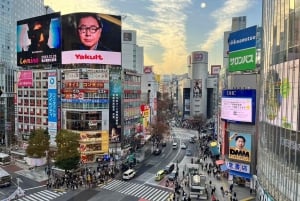 Real-Life Anime Pilgrimage Tour: “Shibuya Incident”
