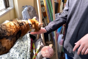 Romantisk Mizuhiki Knot och Omikuji Washi Charm Workshop Ueno