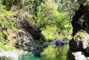 Samurai Swordsmanship and Sound Meditation in nature