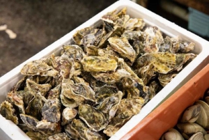 Sasebo: Experiência cultural com quimono, caligrafia e mercado