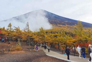 [Saisonbedingt begrenzt] Mt. Fuji 5th Station & Thermalquelle-Tour