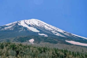 [Saisonbedingt begrenzt] Mt. Fuji 5th Station & Thermalquelle-Tour