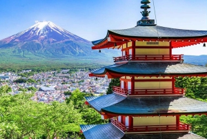 [Saisonbedingt begrenzt] Mt. Fuji 5th Station & Thermalquelle-Tour