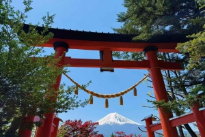 [Saisonbedingt begrenzt] Mt. Fuji 5th Station & Thermalquelle-Tour