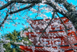 [Saisonbedingt begrenzt] Mt. Fuji 5th Station & Thermalquelle-Tour