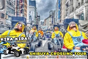 Tóquio: Cruzamento de Shibuya x Torre de Tóquio e muito mais! Passeio de kart