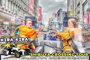 Tokyo: Shibuya Crossing, Shinjuku & Harajuku Tour [90mins]