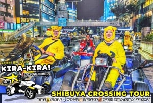 Tóquio: Cruzamento de Shibuya x Torre de Tóquio e muito mais! Passeio de kart