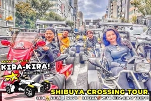 Tóquio: Cruzamento de Shibuya x Torre de Tóquio e muito mais! Passeio de kart