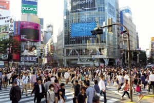 Shibuya: Crossing, Hachiko & Shibuya Sky Guided Tour