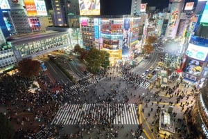 Shibuya: Krydsning, Hachiko & Shibuya Sky guidet tur