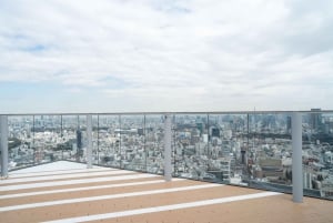 Shibuya: Crossing, Hachiko & Shibuya Sky rondleiding