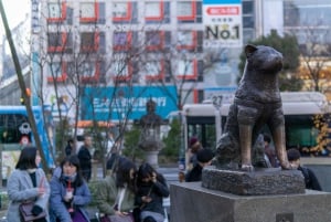 Shibuya: Crossing, Hachiko & Shibuya Sky rondleiding