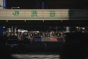 Shibuya: Crossing, Hachiko & Shibuya Sky rondleiding