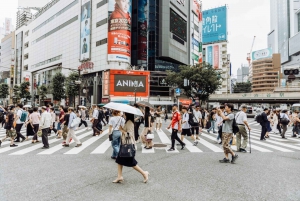 Shibuya & Harajuku: Hidden Gems & Highlights Private Tour