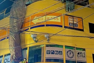 Shibuya: Local Food & Culture Walk in Sangenjaya District