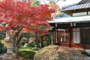 Shibuya, Tokyo: Japansk sprog- og kulturtur