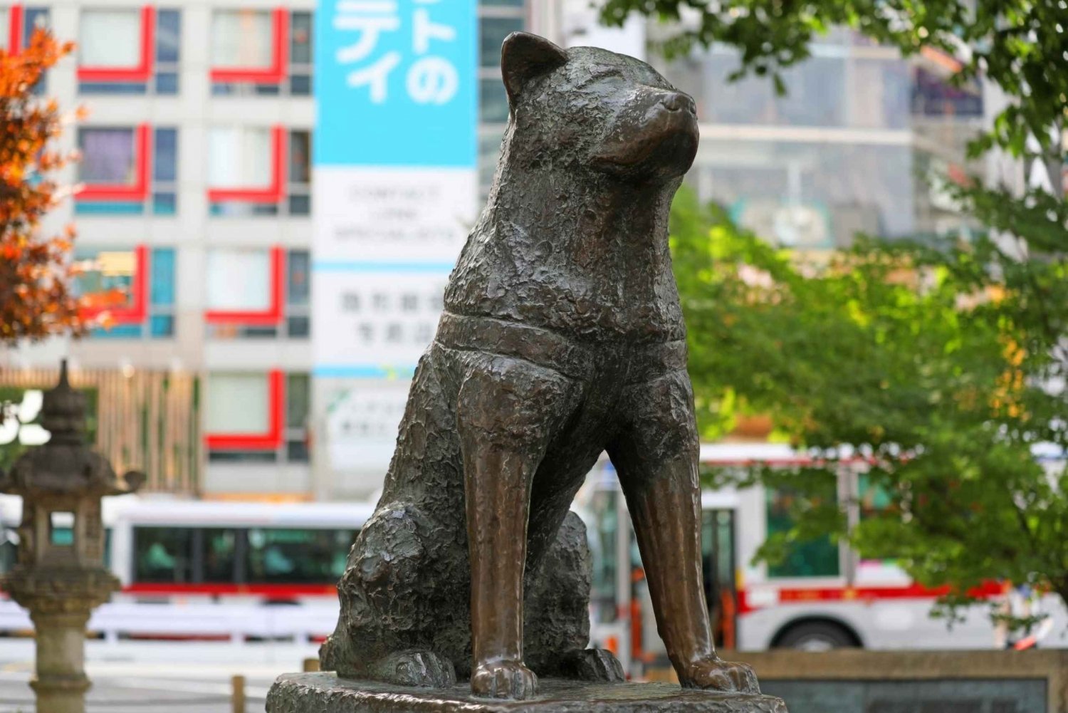 Tokyo: Shibuya Walking Tour with Crossing & Hachiko Statue